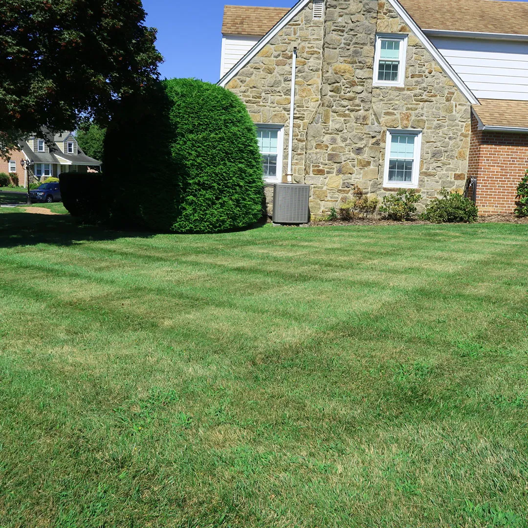 FullService Landscaping in Delaware County, PA Leadway Landscaping